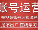 短视频账号运营课程:从话术到短视频运营再到直播带货全流程,新人快速入门-逐浪前行