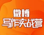 村西边老王·微博超级写作实战营,帮助你粉丝猛涨价值999元-逐浪前行
