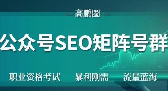 高鹏圈公众号SEO矩阵号群，实操20天纯收益25000+，普通人都能做-逐浪前行