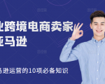 职业跨境电商卖家聊亚马逊:亚马逊运营的10项必备知识,12堂课让你看懂亚马逊运营-逐浪前行
