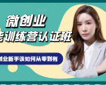 微创业全能训练营认证班课程,从理论知识与实际案例手把手指导创业新手如何从零到有-逐浪前行