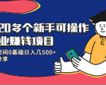 20多个新手可操作的副业赚钱项目:业余时间0基础日入几500+实操分享-逐浪前行