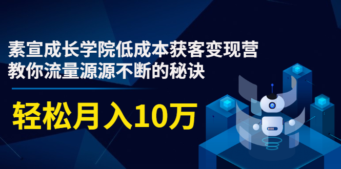 素宣成长学院低成本获客变现营，教你流量源源不断的秘诀，轻松月入10万-逐浪前行