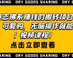 强子日志佛系赚钱的搬砖项目,需求大,可复购,无脑操作就能收钱-逐浪前行