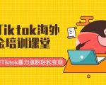 最新Tiktok海外掘金培训课堂：带你玩转Tiktok暴力涨粉轻松变现-逐浪前行