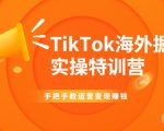 TikTok海外掘金实操特训营:手把手教运营变现赚钱-逐浪前行