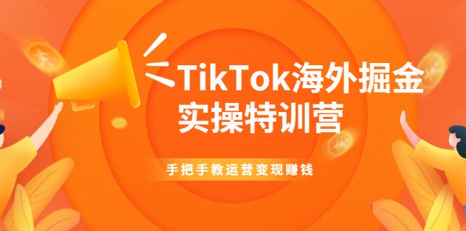 TikTok海外掘金实操特训营：手把手教运营变现赚钱-逐浪前行