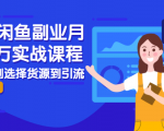 2021闲鱼副业月入过万实战课程:从开店到选择货源到引流,全程实战教学-逐浪前行