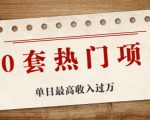 30套热门项目:单日最高收入过万 (网赚项目、朋友圈、涨粉套路、抖音、快手)等-逐浪前行