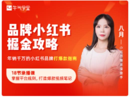 品牌小红书掘金攻略，年销千万的小红书品牌打爆款指南-逐浪前行