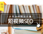 未来新趋势,布局短视频SEO,如何利用抖音SEO免费获得精准流量(3节课)-逐浪前行