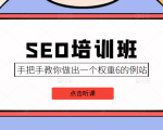 SEO培训班课程,手把手教你做出一个权重6的例站,价值8000元-逐浪前行