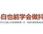 2021最新抖音小店无货源课程，小白也能学会做抖店，轻松月入过万-逐浪前行
