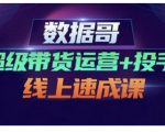 数据哥·超级带货运营+投手线上速成课,快速提升运营和熟悉学会投手技巧-逐浪前行
