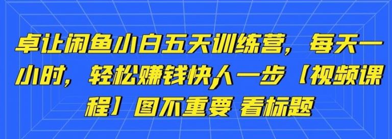 卓让闲鱼小白五天训练营，每天一小时，轻松赚钱快人一步-逐浪前行