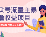 公众号流量主暴利撸收益项目,空闲时间操作单人月入过万-逐浪前行