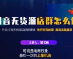 蟹老板·抖音无货源店群怎么做,吊打市面一大片《抖音无货源店群》的课程-逐浪前行