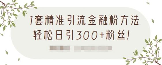 1套精准引流金融粉方法，轻松日引300+粉丝-逐浪前行
