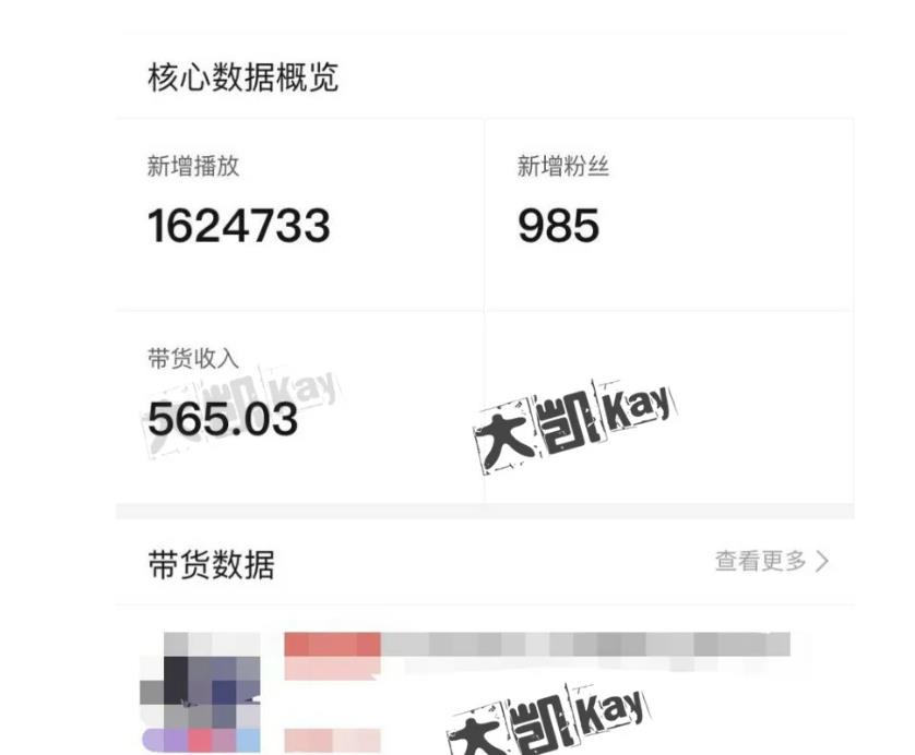 大凯进阶圈新玩法之拼多多视频玩法，利润大概一个号一天能有500~1500的左右!-逐浪前行