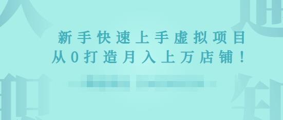 2022年虚拟项目实战指南，新手从0打造月入上万店铺-逐浪前行