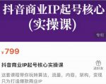 抖音商业IP起号核心实操课,带你玩转算法,流量,内容,架构,变现-逐浪前行