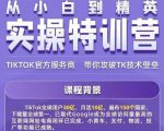 Seven漆·2022Tiktok从小白到精英实操特训营,带你掌握Tiktok账号运营-逐浪前行