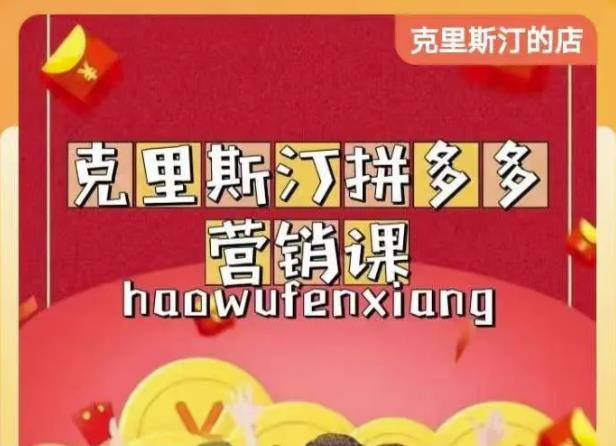 克里斯汀拼多多运营课，适合小白初涉平台，低成本入门-逐浪前行
