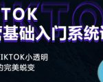 Tiktok实操进阶课程，体验从tiktok小透明到大佬的完美蜕变-逐浪前行