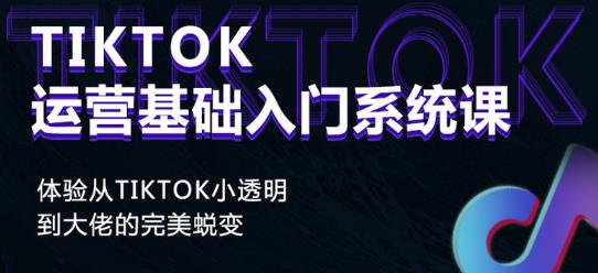 Tiktok实操进阶课程，体验从tiktok小透明到大佬的完美蜕变-逐浪前行