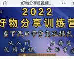 萌飞好物·2022抖音好物分享训练营,当下风口带货变现模式,从入门到精通-逐浪前行