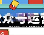 零零已久·从0-1运营公众号,零基础小白也能上手,系统性了解公众号运营-逐浪前行