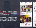 麦子互娱短视频带货·0基础做好物分享账号,无需出镜无需货源无需拍摄-逐浪前行