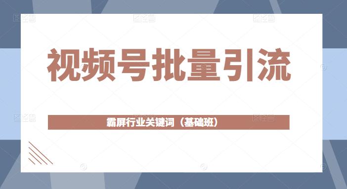 视频号批量引流，霸屏行业关键词（基础班）全面系统讲解视频号玩法-逐浪前行