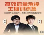 高效流量承接主播训练营:快速提升主播能力,实现100万销售直播间-逐浪前行