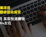 虚拟图集项目:矩阵站群自动化成交,3-5个月实现快速赚钱月入1W+左右-逐浪前行