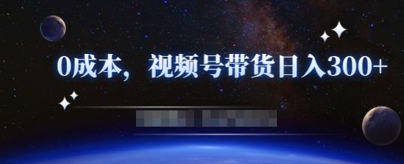 零基础视频号带货赚钱项目，0成本0门槛轻松日入300+【视频教程】-逐浪前行