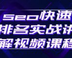 seo快速排名实战讲解视频课程,揭秘seo快排原理-逐浪前行