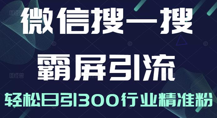 微信搜一搜霸屏引流课，打造被动精准引流系统，轻松日引300行业精准粉-逐浪前行