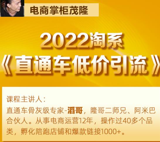 茂隆2022直通车低价引流玩法，教大家如何低投入高回报的直通车玩法-逐浪前行