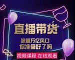 【及至专享】DY赋能系统星课程,流量万亿风口,你准备好了吗-逐浪前行