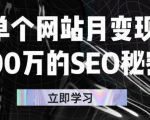 单个网站月变现100万的SEO秘密,百分百做出赚钱站点-逐浪前行