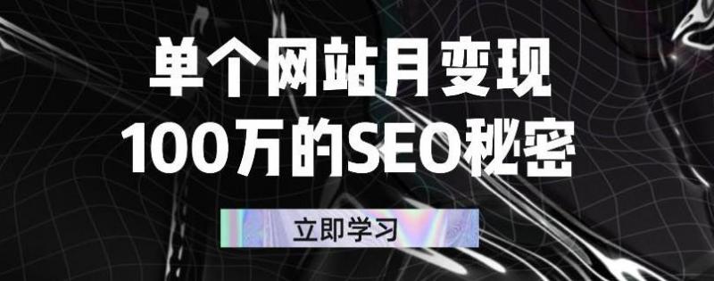 单个网站月变现100万的SEO秘密，百分百做出赚钱站点-逐浪前行