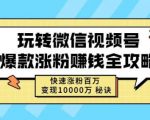 玩转微信视频号爆款涨粉赚钱全攻略，快速涨粉百万变现万元秘诀-逐浪前行