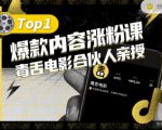 【毒舌电影合伙人亲授】抖音爆款内容涨粉课,5000万抖音大号首次披露涨粉机密-逐浪前行