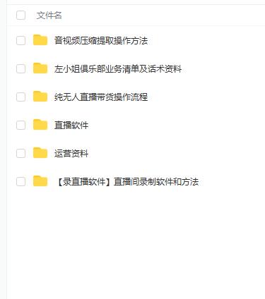 左小姐-直播带货俱乐部十三行、无人直播，全套教程附：工具、文档、话术资料-逐浪前行