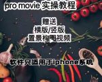 漆十二美食摄影,25节promovie实操高手课节-逐浪前行
