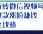玩转微信视频号爆款涨粉赚钱全攻略,让你快速抓住流量风口,收获红利财富-逐浪前行