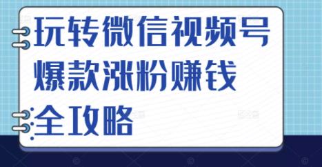 玩转微信视频号爆款涨粉赚钱全攻略，让你快速抓住流量风口，收获红利财富-逐浪前行