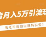 老古董·抖音月入5万引流玩法，看看老司机如何玩转抖音(附赠：抖音另类引流思路)-逐浪前行