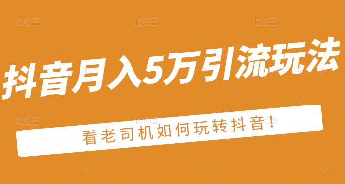 老古董·抖音月入5万引流玩法，看看老司机如何玩转抖音(附赠：抖音另类引流思路)-逐浪前行